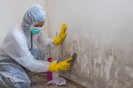 Best Industrial Mold Remediation  in Indio, CA